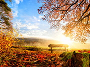 Sauerland