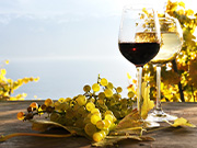 Wein