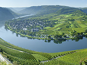 Flusslandschaft Mosel