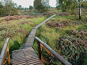 Mittelgebirge Hunsrueck