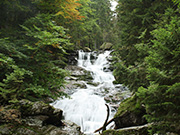 Mittelgebirge Bayerischer Wald