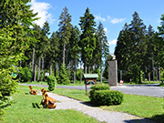 Mittelgebirge Thueringer Wald