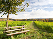 Mittelgebirge Odenwald
