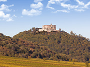 Mittelgebirge Pfalz