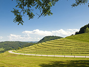 Mittelgebirge Rhoen