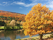 Mittelgebirge Weserbergland